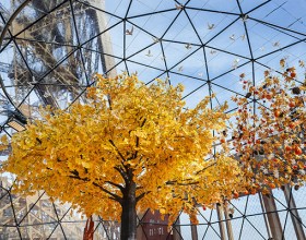 Photo de la terrasse d’automne 2025