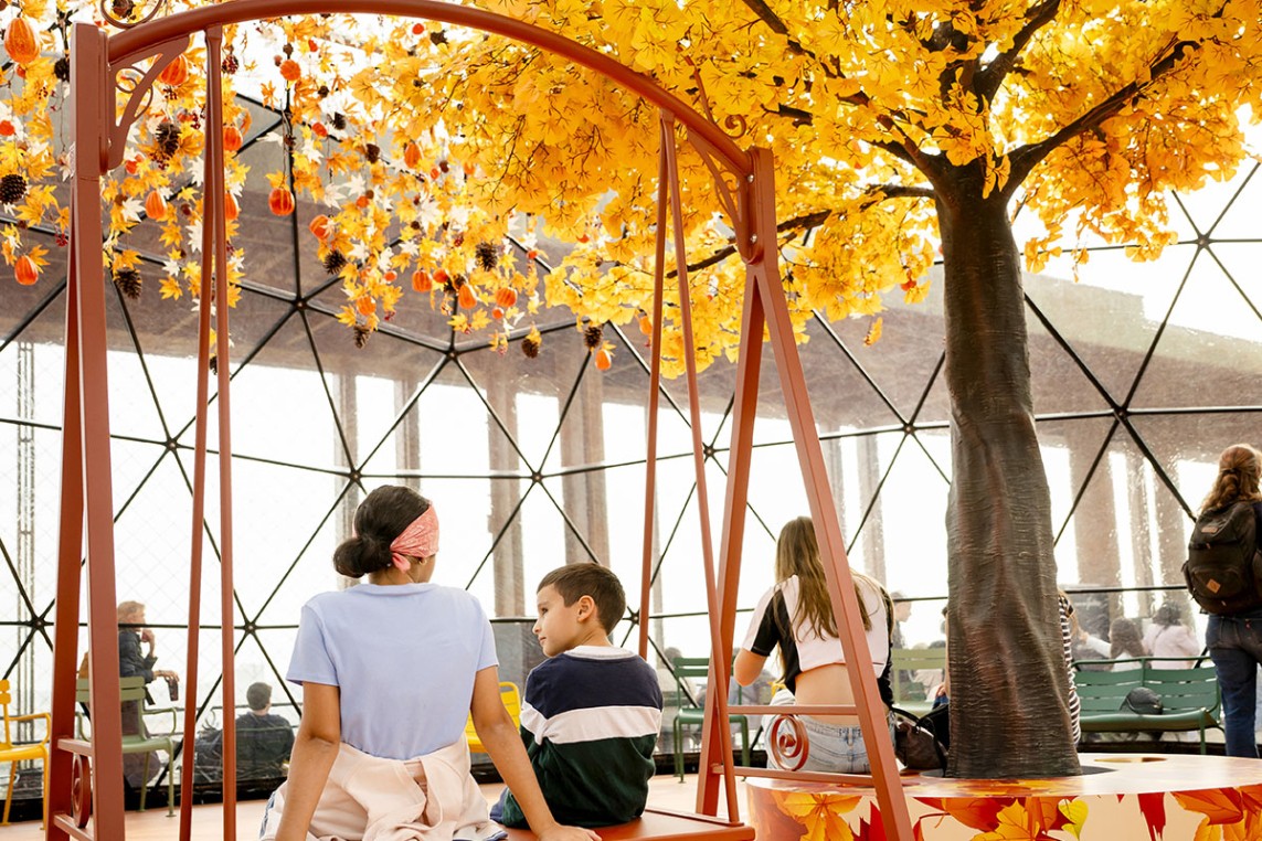 Photo de la terrasse d’automne 2025