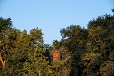 Cheminée